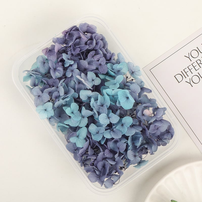 Set DIY pentru artă florală cu Hydrangea din flori uscate și permanente, design gradient, pentru nunți și teambuilding