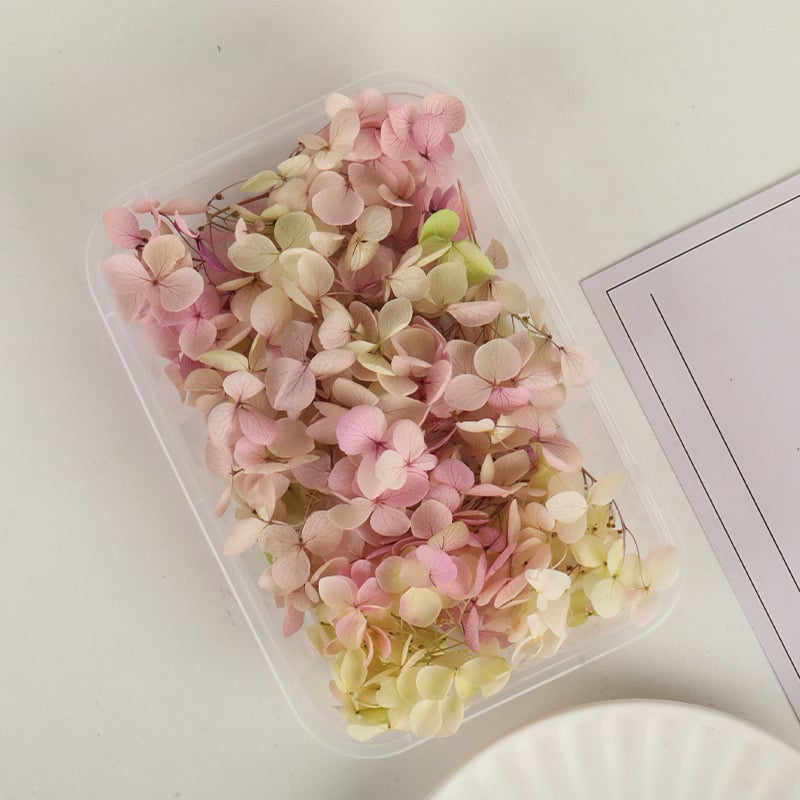 Set DIY pentru artă florală cu Hydrangea din flori uscate și permanente, design gradient, pentru nunți și teambuilding