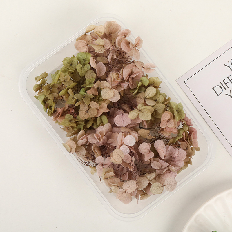 Set DIY pentru artă florală cu Hydrangea din flori uscate și permanente, design gradient, pentru nunți și teambuilding