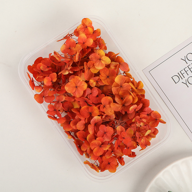 Set DIY pentru artă florală cu Hydrangea din flori uscate și permanente, design gradient, pentru nunți și teambuilding