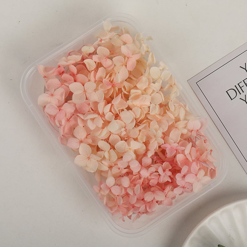 Set DIY pentru artă florală cu Hydrangea din flori uscate și permanente, design gradient, pentru nunți și teambuilding