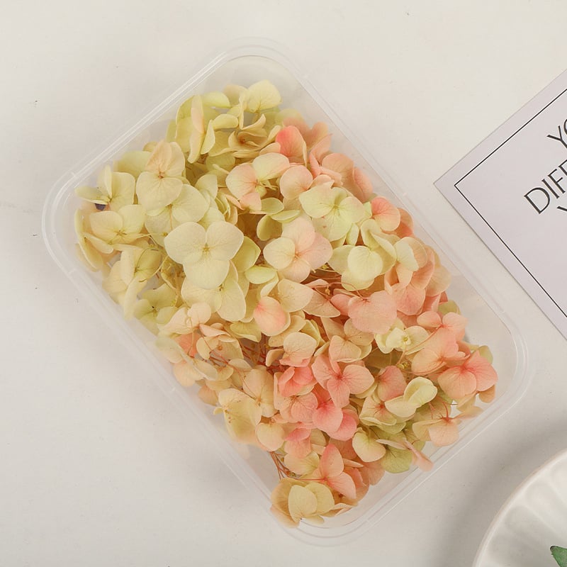 Set DIY pentru artă florală cu Hydrangea din flori uscate și permanente, design gradient, pentru nunți și teambuilding