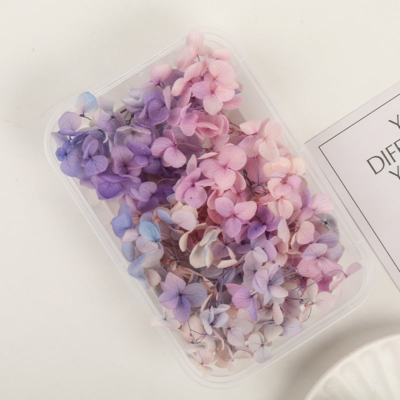 Set DIY pentru artă florală cu Hydrangea din flori uscate și permanente, design gradient, pentru nunți și teambuilding