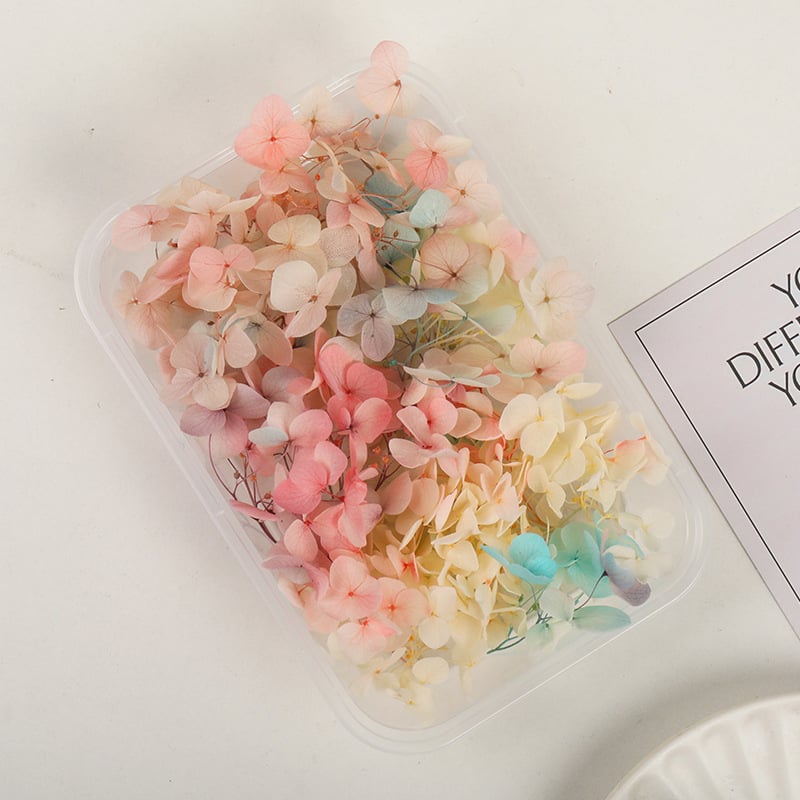 Set DIY pentru artă florală cu Hydrangea din flori uscate și permanente, design gradient, pentru nunți și teambuilding