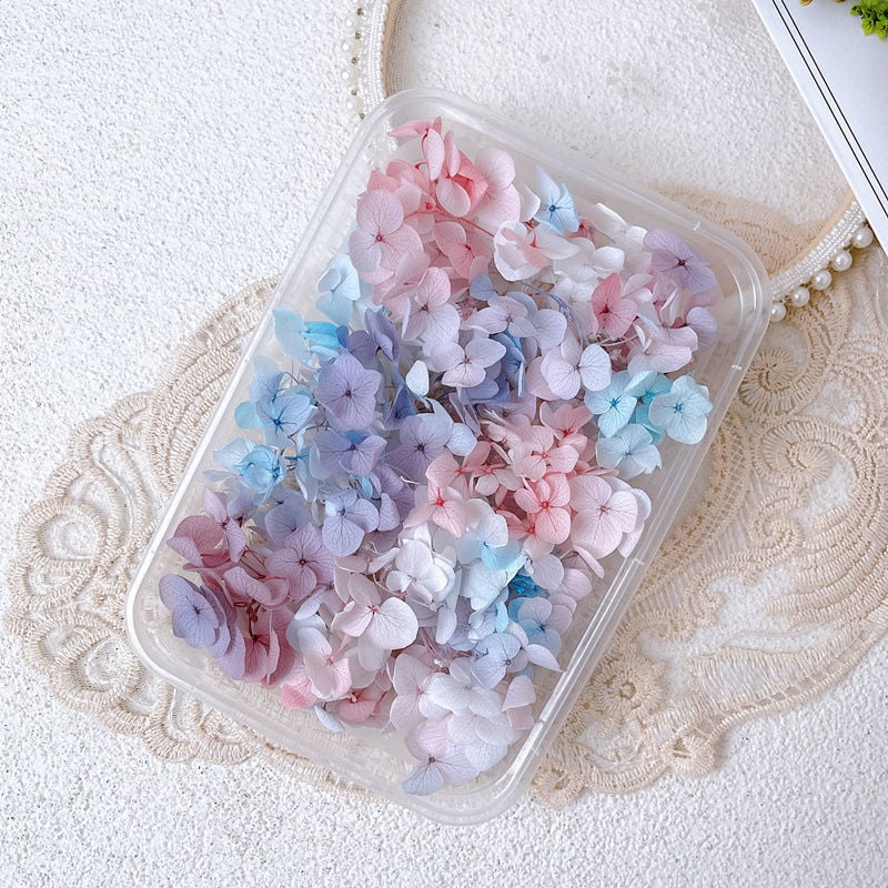 Set DIY pentru artă florală cu Hydrangea din flori uscate și permanente, design gradient, pentru nunți și teambuilding