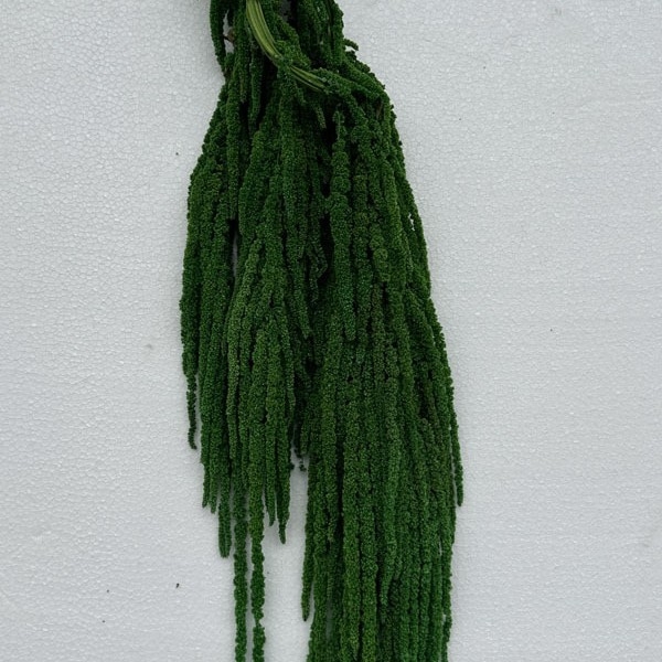 Вечна цветна хидрангея висяща клонка – сушени цветя, декоративно цвете. Марка Kunming Ripper. Материал: сушени цветя, вечна цветя. Подходящ за подарък: рожден ден, пълнолуние, завършване, нов дом, парти. Тип подарък: лични подаръци