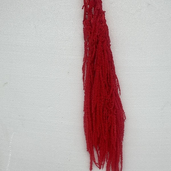 Вечна цветна хидрангея висяща клонка – сушени цветя, декоративно цвете. Марка Kunming Ripper. Материал: сушени цветя, вечна цветя. Подходящ за подарък: рожден ден, пълнолуние, завършване, нов дом, парти. Тип подарък: лични подаръци