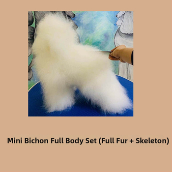 Model de câine pentru instruire cu schelet standard și blană completă; materiale: lână sintetică și plastic