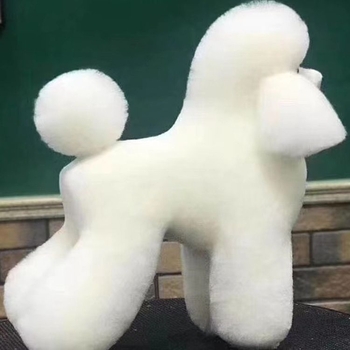 Model de câine pentru instruire cu schelet standard și blană completă; materiale: lână sintetică și plastic