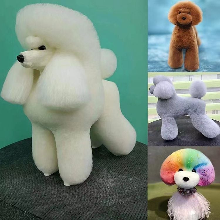 Model de câine pentru instruire cu schelet standard și blană completă; materiale: lână sintetică și plastic