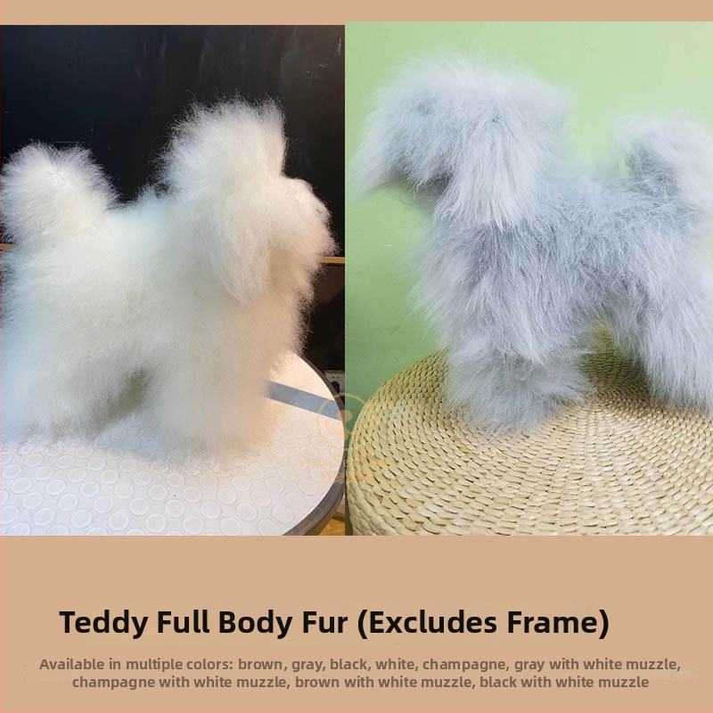 Model de câine pentru instruire cu schelet standard și blană completă; materiale: lână sintetică și plastic