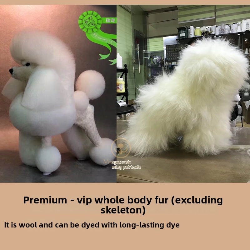 Model de câine pentru instruire cu schelet standard și blană completă; materiale: lână sintetică și plastic