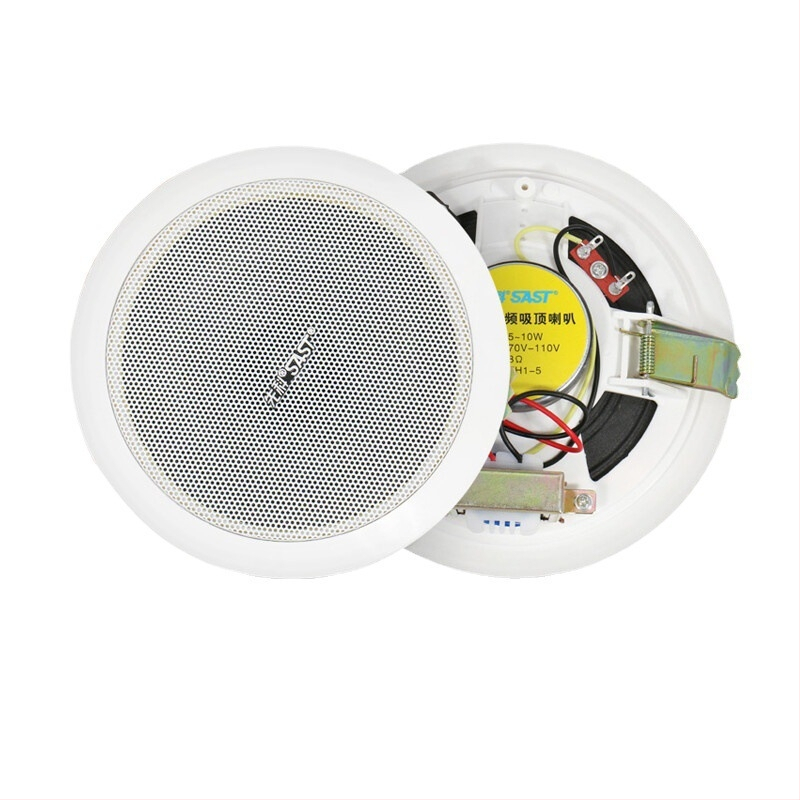 Nadzemes griestu skaļrunis S1-5, 20W, 2-kanālu koaksiālais, vads savienojums, 100–15000 Hz