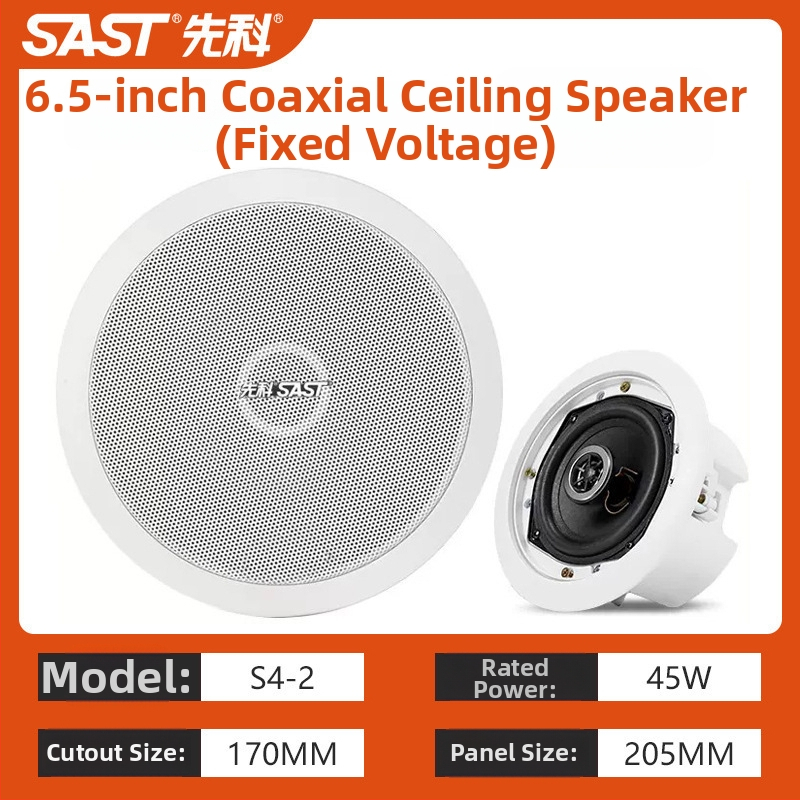Nadzemes griestu skaļrunis S1-5, 20W, 2-kanālu koaksiālais, vads savienojums, 100–15000 Hz