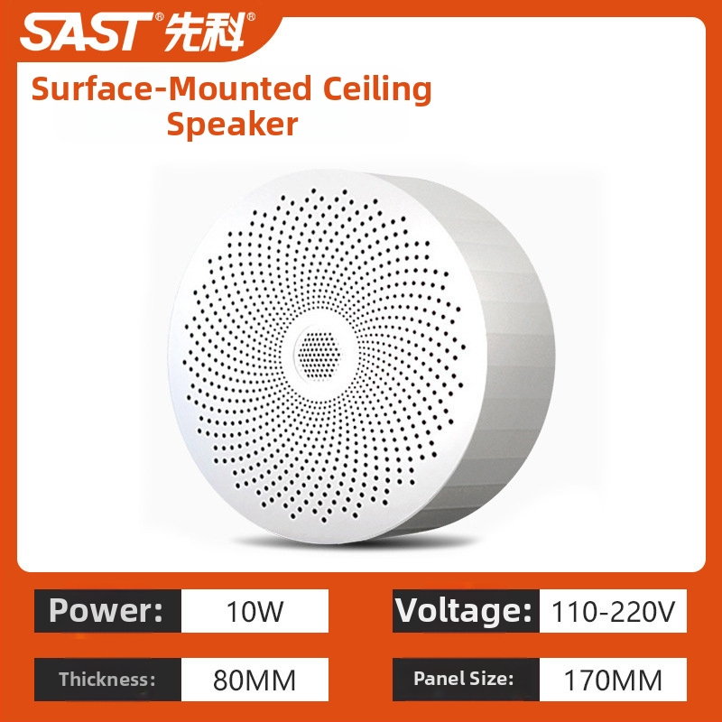 Nadzemes griestu skaļrunis S1-5, 20W, 2-kanālu koaksiālais, vads savienojums, 100–15000 Hz