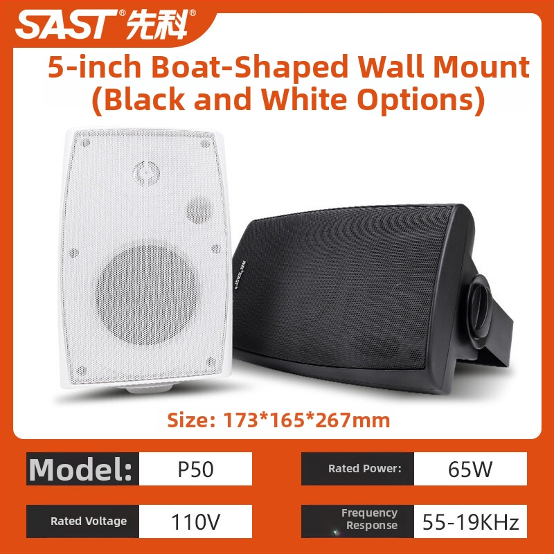 Nadzemes griestu skaļrunis S1-5, 20W, 2-kanālu koaksiālais, vads savienojums, 100–15000 Hz