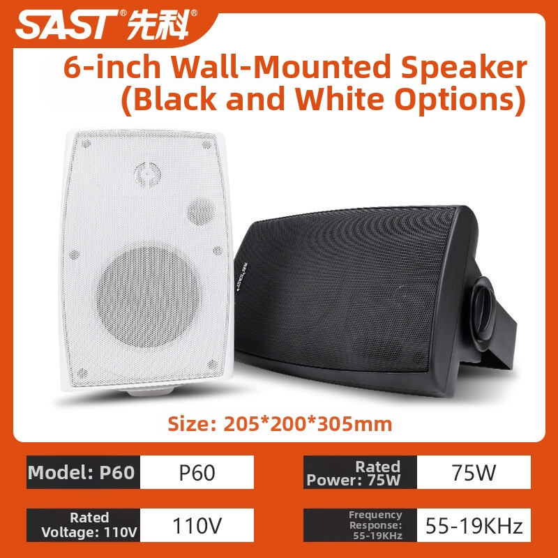 Nadzemes griestu skaļrunis S1-5, 20W, 2-kanālu koaksiālais, vads savienojums, 100–15000 Hz