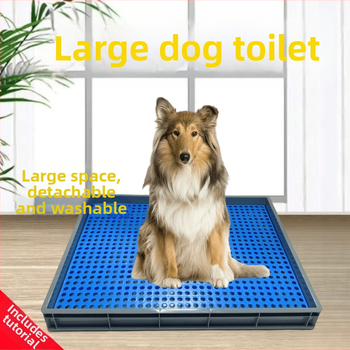 Τουαλέτα σκύλου, πλαστικός κάδος για κόπρανα και ούρα, συσκευή σταθερού σημείου αφόδευσης, Μάρκα: Other, Όχι εισαγόμενο