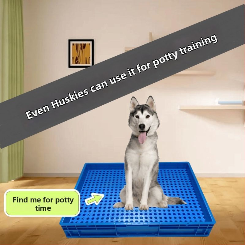 Τουαλέτα σκύλου, πλαστικός κάδος για κόπρανα και ούρα, συσκευή σταθερού σημείου αφόδευσης, Μάρκα: Other, Όχι εισαγόμενο