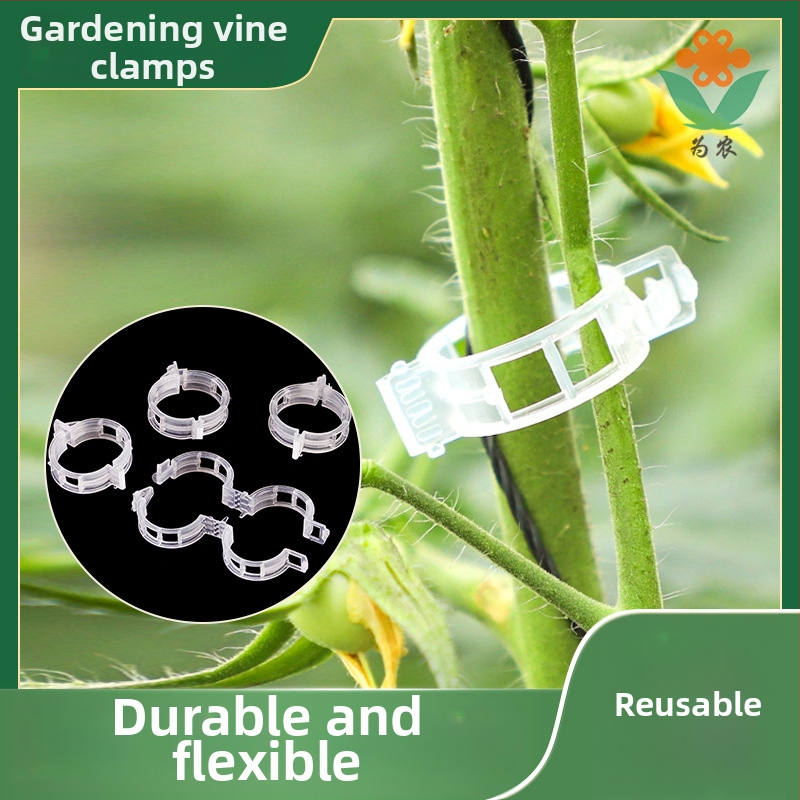 Klipy na viazanie viniča – polypropylén, súprava pre domácu záhradu, na viazanie viniča, súkromná značka dostupná