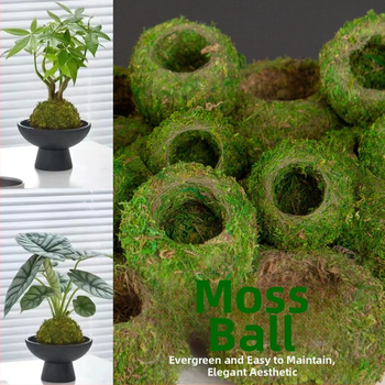 Haoyi keramikas sūnu bumbas augu pods — Dendrobija orhidejas mikro ainavas podiņš, kartona iepakojums, gatavs novietošanai