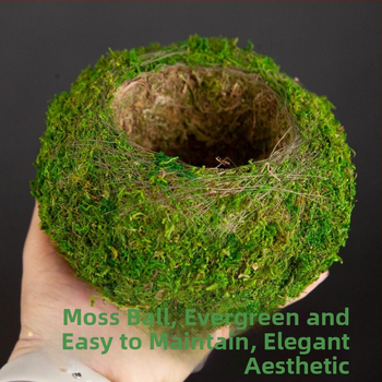 Haoyi keramikas sūnu bumbas augu pods — Dendrobija orhidejas mikro ainavas podiņš, kartona iepakojums, gatavs novietošanai