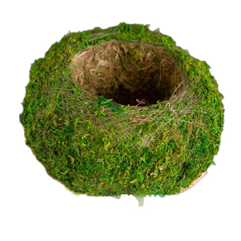 Haoyi keramikas sūnu bumbas augu pods — Dendrobija orhidejas mikro ainavas podiņš, kartona iepakojums, gatavs novietošanai