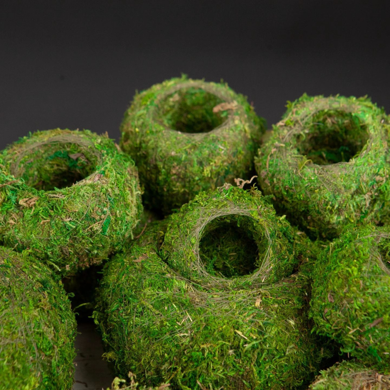 Haoyi keramikas sūnu bumbas augu pods — Dendrobija orhidejas mikro ainavas podiņš, kartona iepakojums, gatavs novietošanai