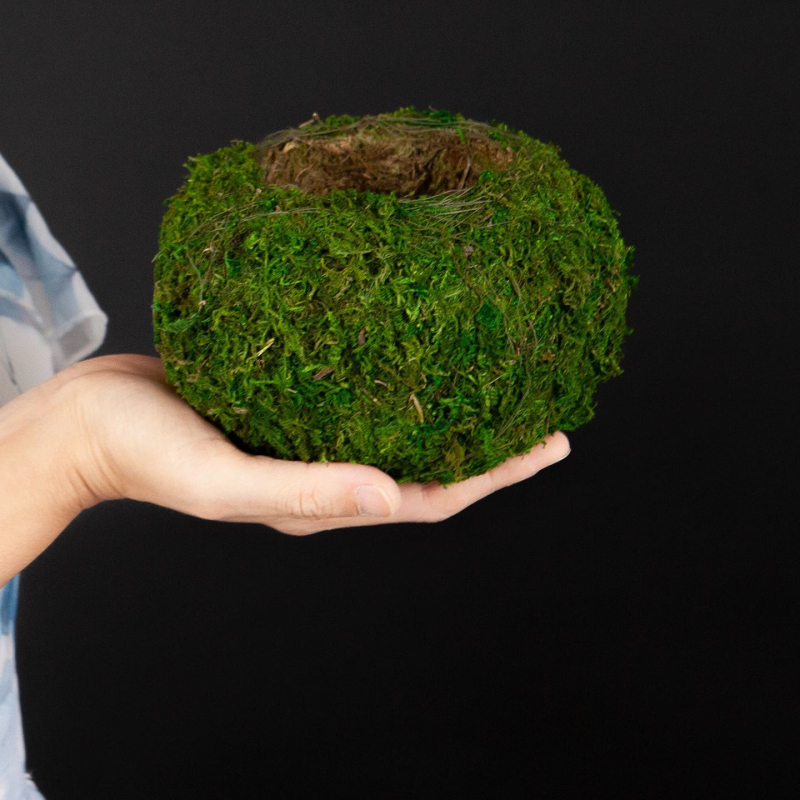 Haoyi keramikas sūnu bumbas augu pods — Dendrobija orhidejas mikro ainavas podiņš, kartona iepakojums, gatavs novietošanai