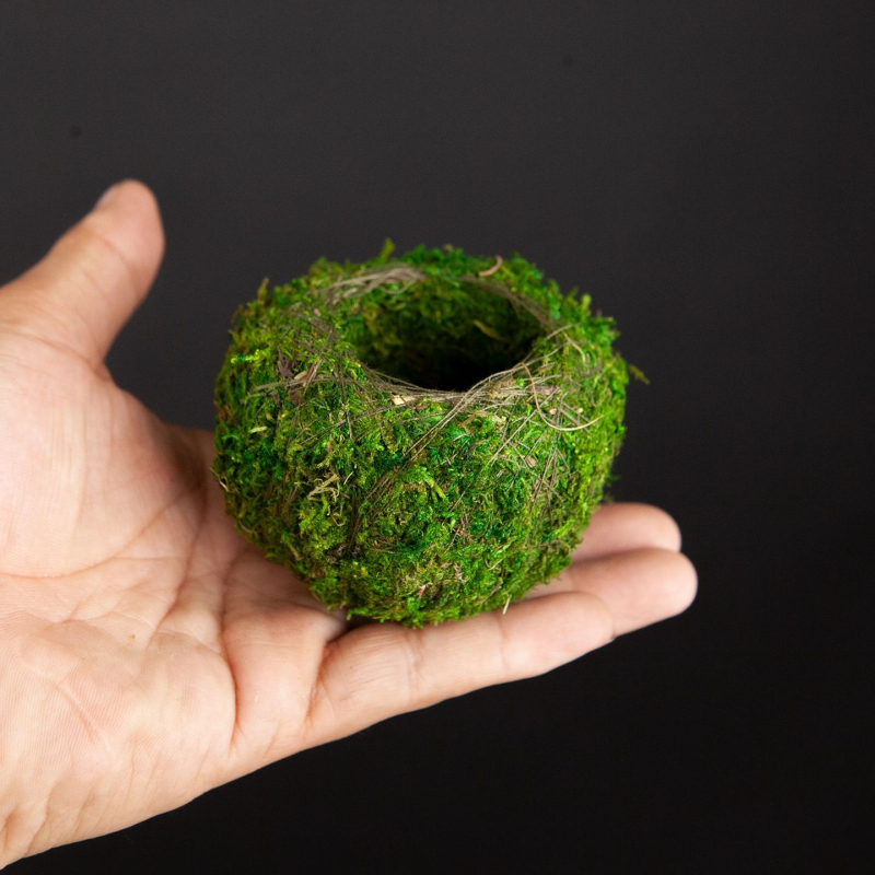 Haoyi keramikas sūnu bumbas augu pods — Dendrobija orhidejas mikro ainavas podiņš, kartona iepakojums, gatavs novietošanai