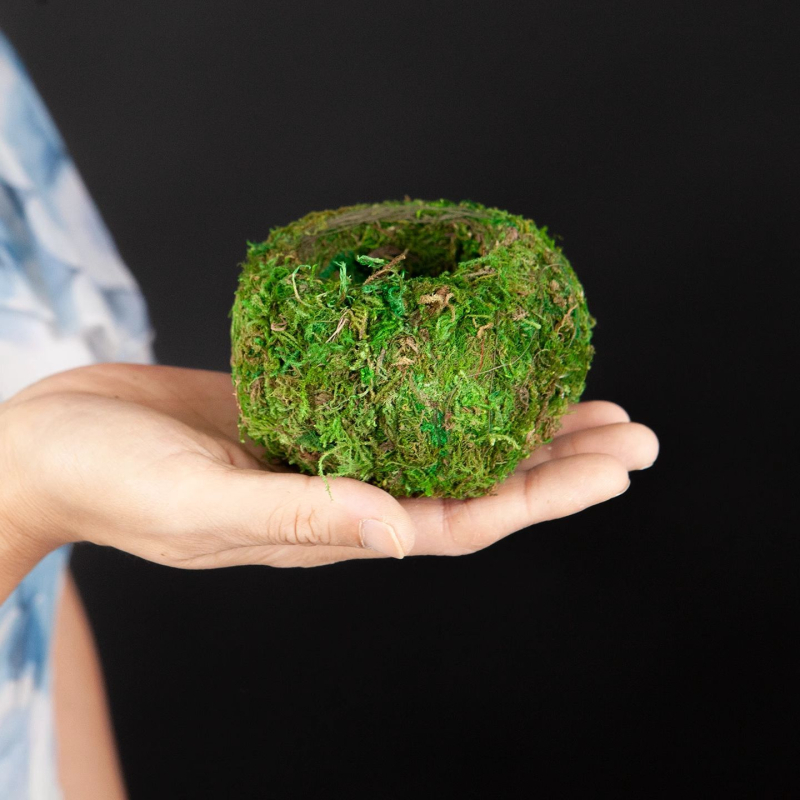 Haoyi keramikas sūnu bumbas augu pods — Dendrobija orhidejas mikro ainavas podiņš, kartona iepakojums, gatavs novietošanai