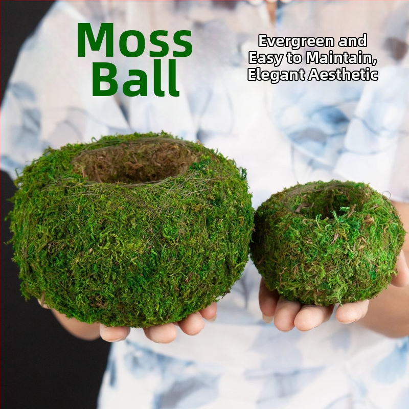 Haoyi keramikas sūnu bumbas augu pods — Dendrobija orhidejas mikro ainavas podiņš, kartona iepakojums, gatavs novietošanai