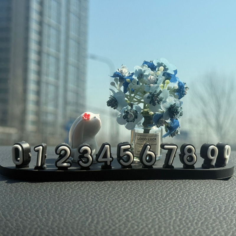 Автомобилен интериорен аксесоар: номер за паркиране за кола, модел LSSAOL, марка Mi meow, материал: друг, персонализиране: възможно