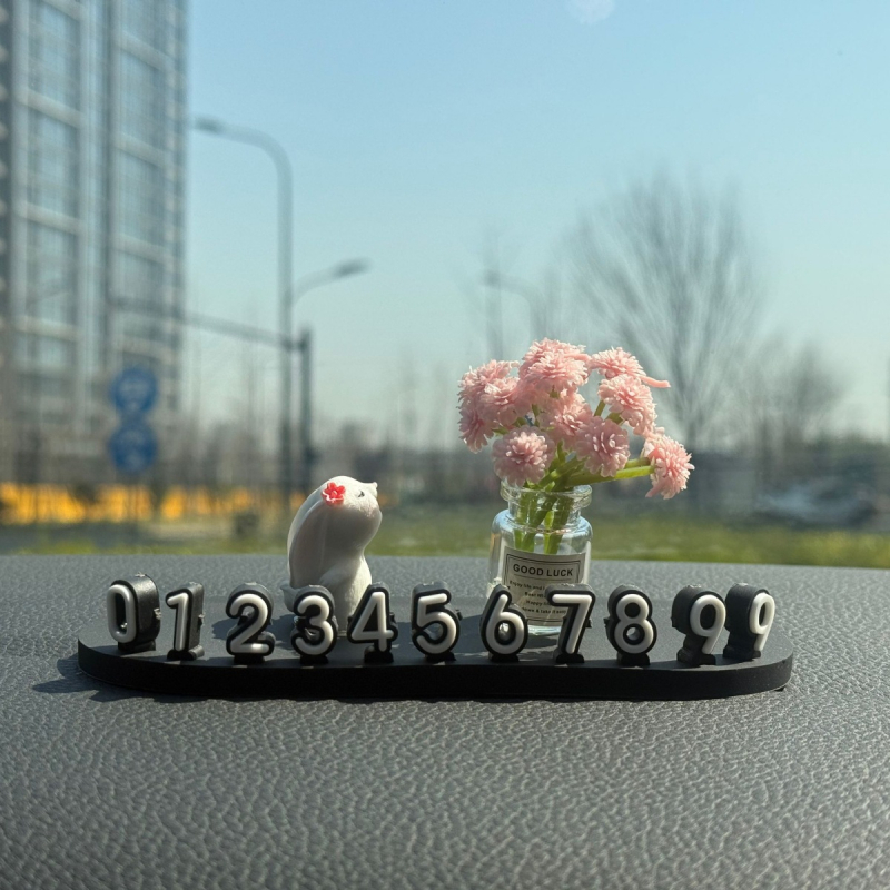 Автомобилен интериорен аксесоар: номер за паркиране за кола, модел LSSAOL, марка Mi meow, материал: друг, персонализиране: възможно