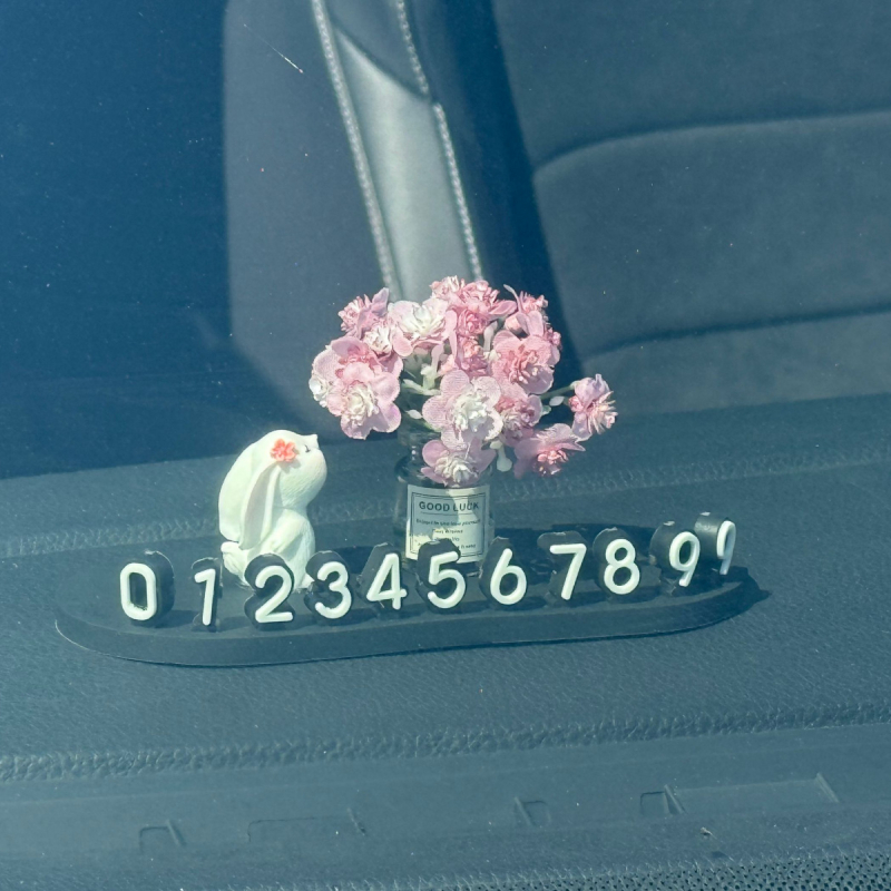 Автомобилен интериорен аксесоар: номер за паркиране за кола, модел LSSAOL, марка Mi meow, материал: друг, персонализиране: възможно