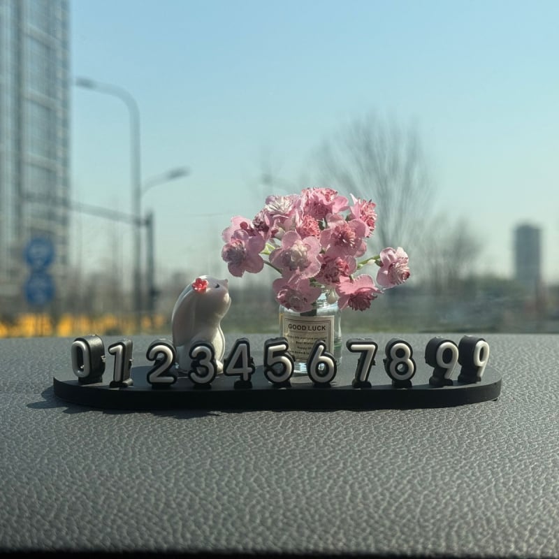 Автомобилен интериорен аксесоар: номер за паркиране за кола, модел LSSAOL, марка Mi meow, материал: друг, персонализиране: възможно