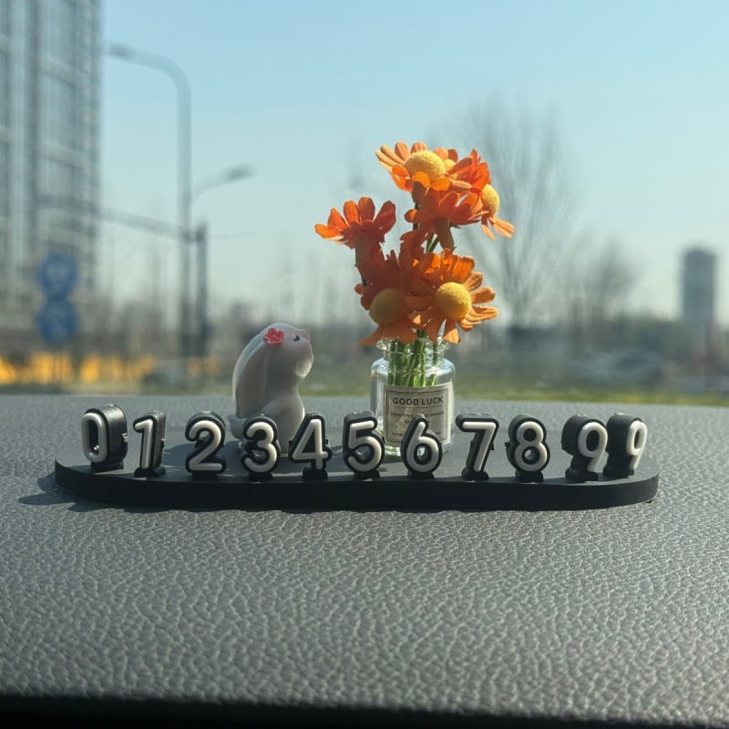 Автомобилен интериорен аксесоар: номер за паркиране за кола, модел LSSAOL, марка Mi meow, материал: друг, персонализиране: възможно