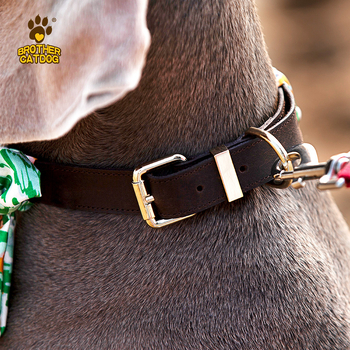Ovratnik za pse od prave kože goveda - Cat Brother and Dog Brother, Leisure stil, pogodan za sve sezone, za pse