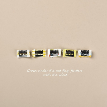 Kutyahajklipsz Bichon Frisé, Maltese és Yorkshire Terrier számára – univerzális, műanyag fejklipsz