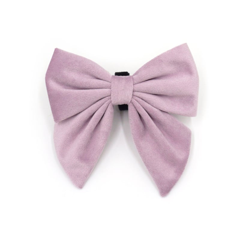 Guler de câine din velur cu funda, stil marin