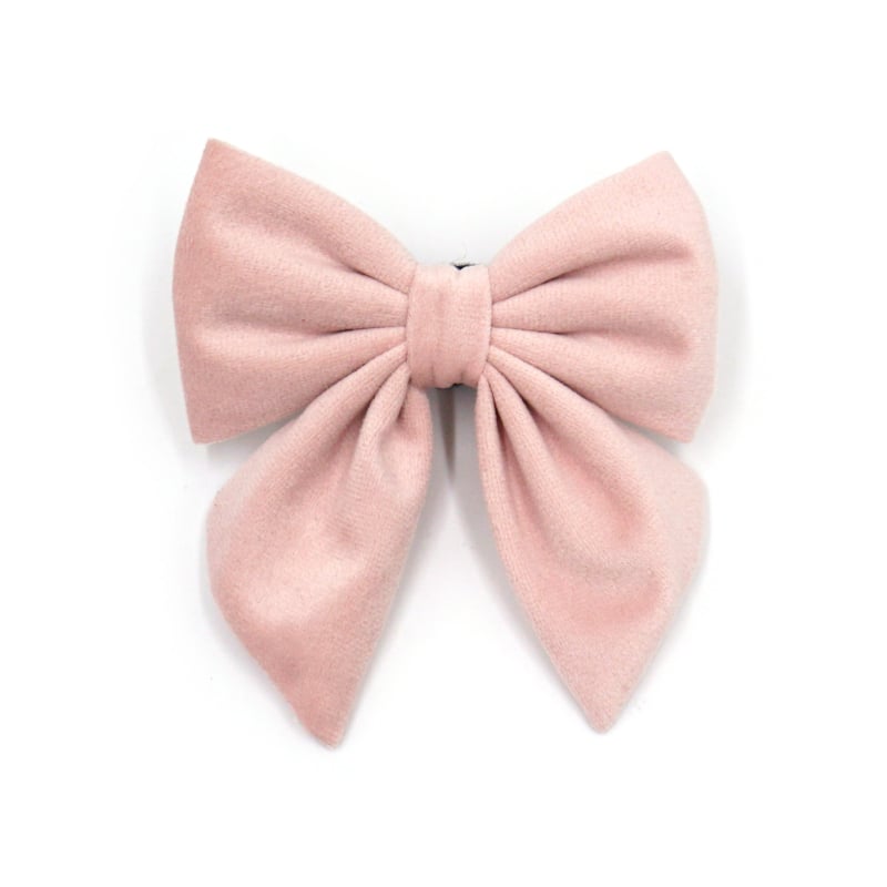 Guler de câine din velur cu funda, stil marin