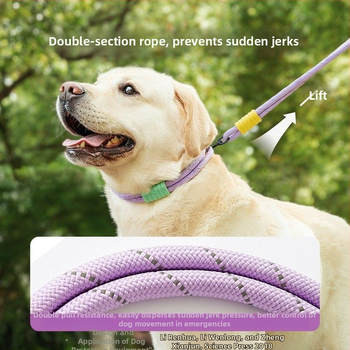 Lesă de câine retractabilă din oțel inoxidabil — Hao Mark, origine Zhejiang, lanțuri și funii pentru animale de companie