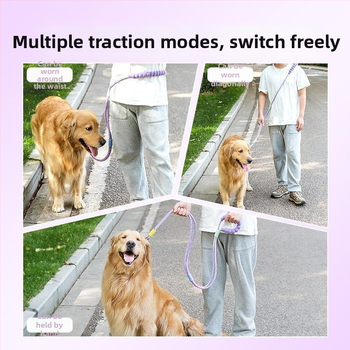 Lesă de câine retractabilă din oțel inoxidabil — Hao Mark, origine Zhejiang, lanțuri și funii pentru animale de companie