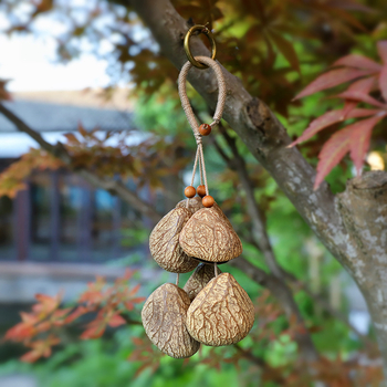 Maišai pakabinama dekoracija — Medžiaga: kriauklė; Stilius: retro akcentas; Raštas: geometriniai raštai; prekinis ženklas: Luo xiang; Kodas: YSK20