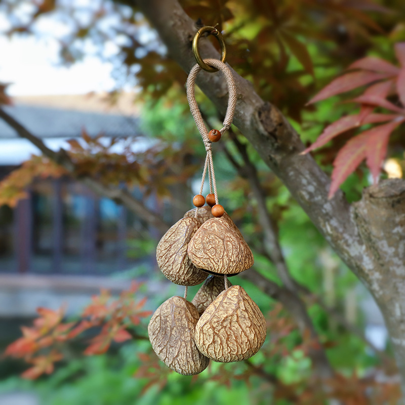 Maišai pakabinama dekoracija — Medžiaga: kriauklė; Stilius: retro akcentas; Raštas: geometriniai raštai; prekinis ženklas: Luo xiang; Kodas: YSK20