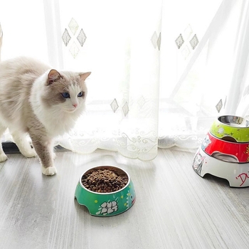 Vas de hrănire pentru pisici și câini, melamină, antiderapant, ușor de curățat, un singur bol