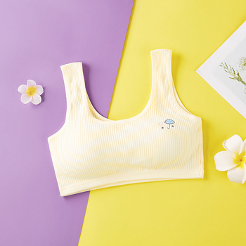 Tüdrukutele mõeldud rinnahoidja, 95% puuvill, kahe rihmaga, bränd Ahn Bear, sobiv keskkooli ealistele tüdrukutele (üle 8 aasta, üle 140 cm)