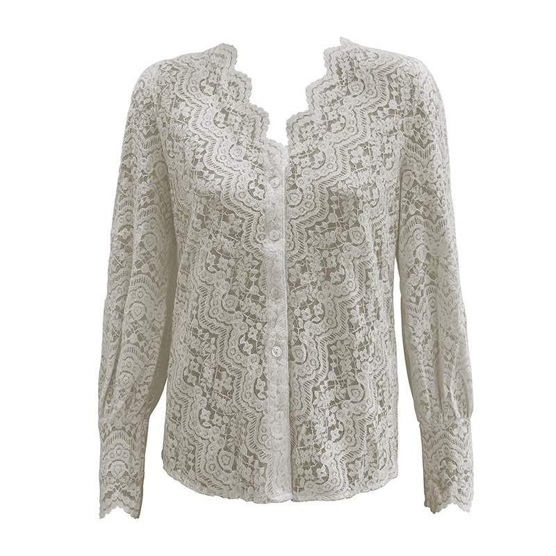 Μπλούζα δαντελένια με V-λαιμό, μακριά μανίκια, φλοράλ κέντημα, στενή γραμμή (Δαντέλα; Κύριο ύφασμα: βαμβάκι + νάιλον; V-λαιμός; Μακριά μανίκια; Φλοράλ κέντημα)