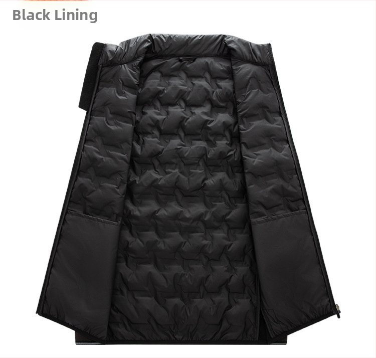 Pánska vesta z bavlneného zmesi, štíhla línia (slim fit), stojací golier, zips, pruhovaný vzor, zimné obdobie