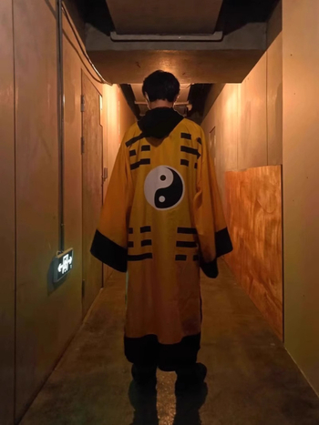 Halloween taoistička roba, taoistička odjeća, duga taoistička roba, drevni kostim, inspiriran Lin Zhengyingom, kostim za Tai Chi i Bagua nastup